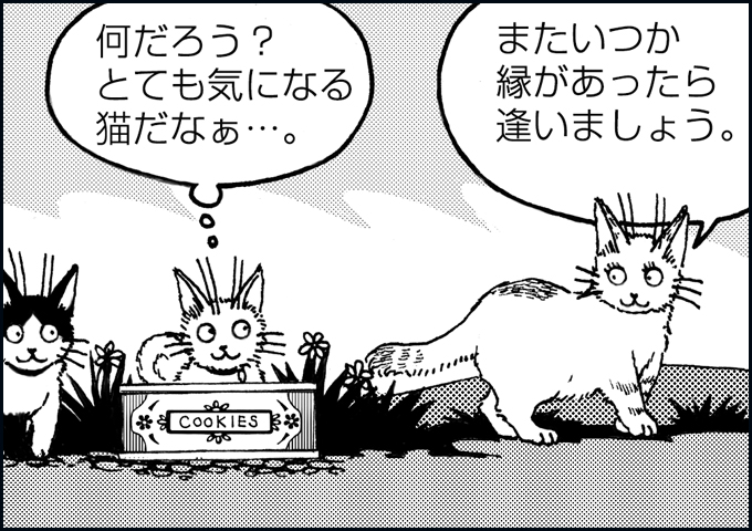 mono_16_07.jpg