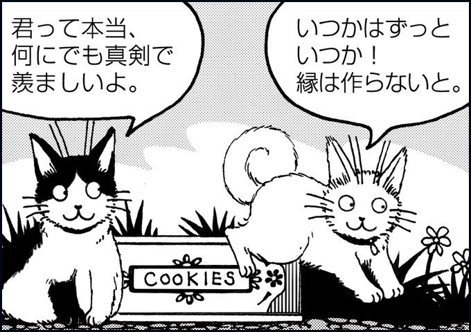 mono_16_08.jpg