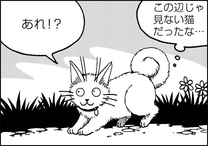 mono_17_01.jpg