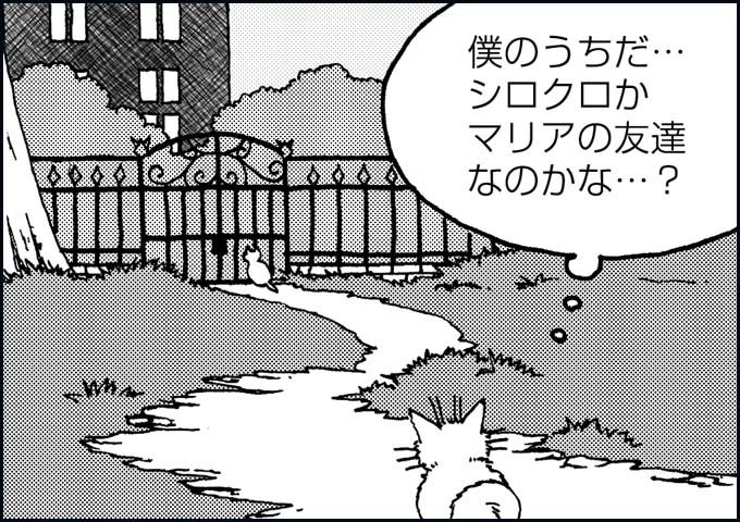 mono_17_02.jpg