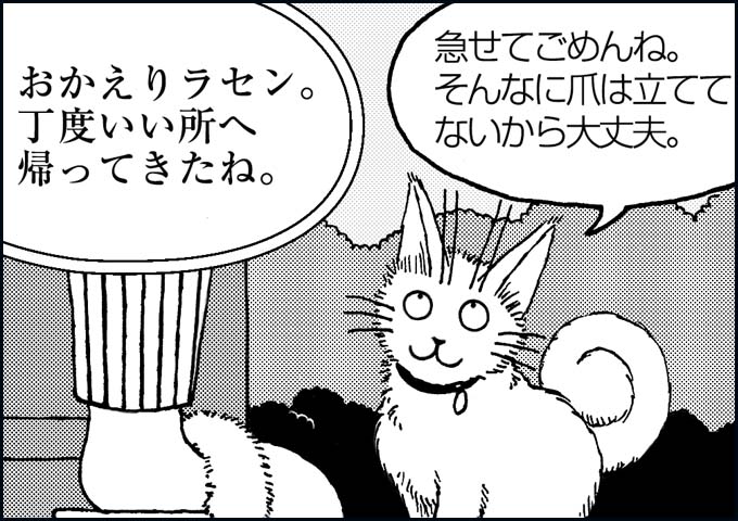 mono_17_04.jpg