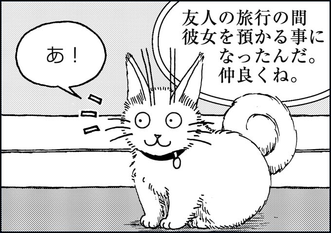 mono_17_05.jpg
