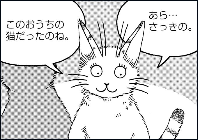 mono_17_06.jpg