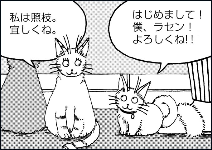 mono_17_07.jpg