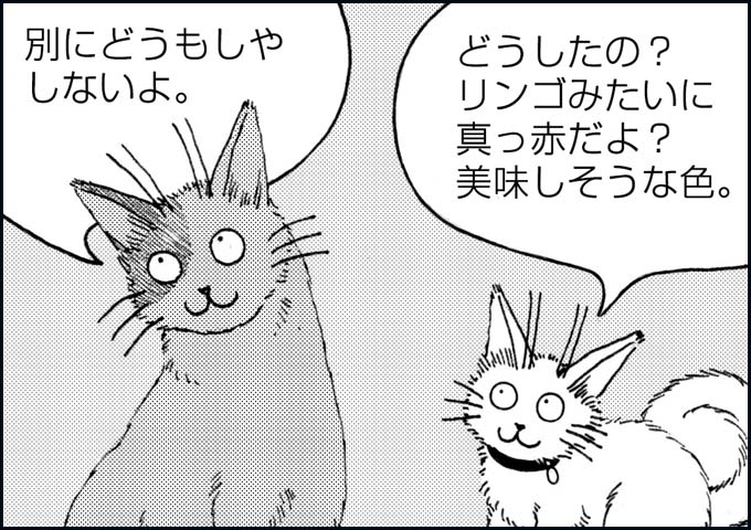 mono_18_01.jpg
