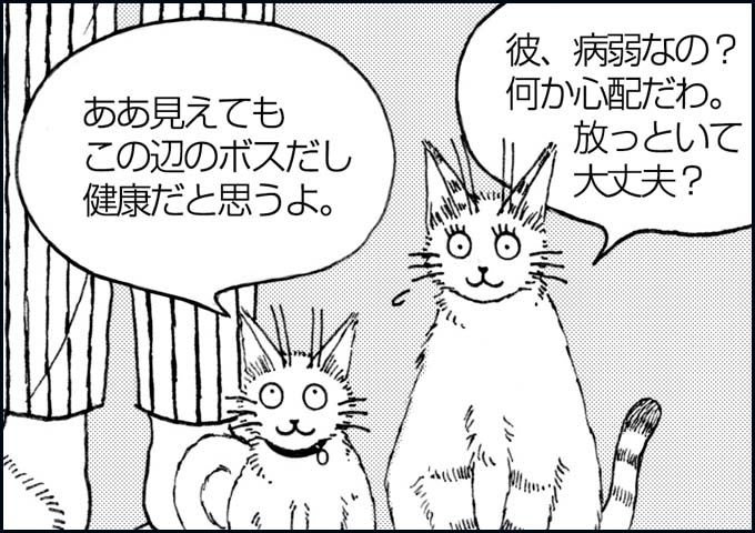 mono_18_04.jpg