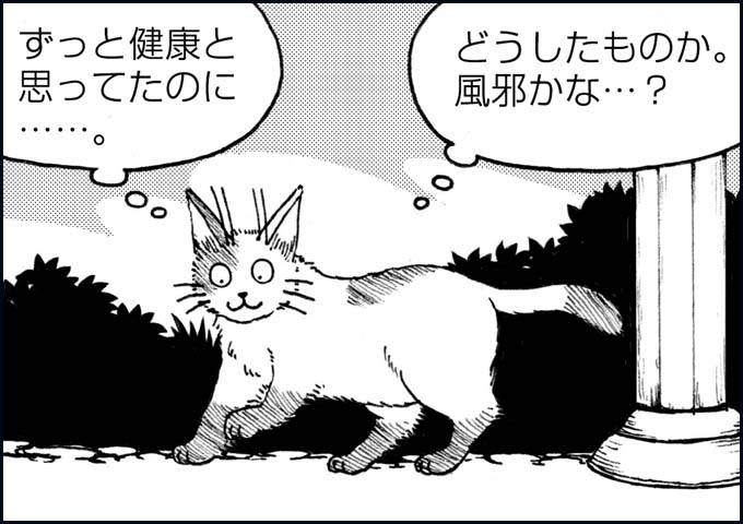 mono_18_05.jpg