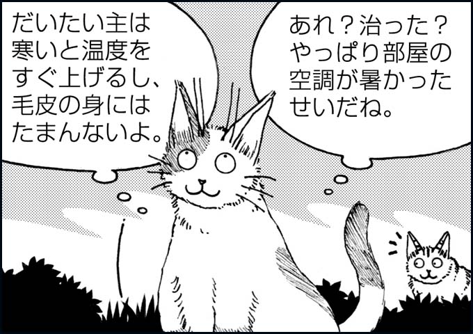 mono_18_06.jpg