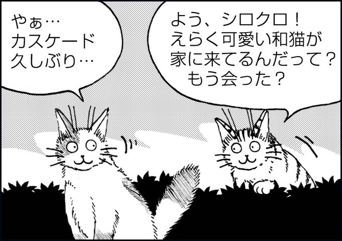 mono_18_07.jpg