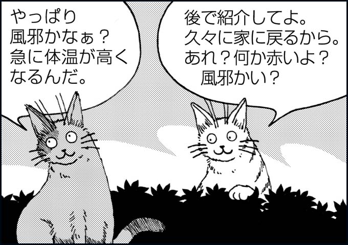 mono_18_08.jpg