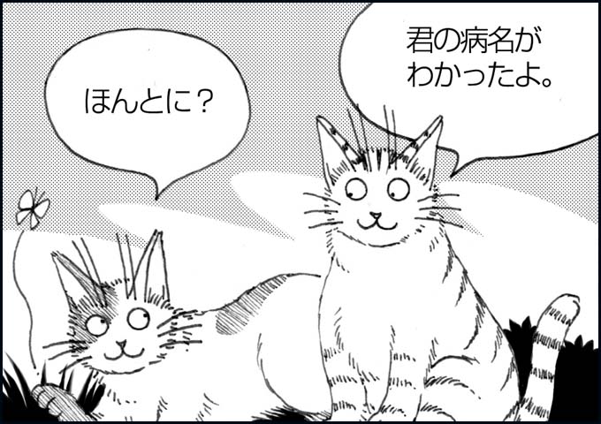 mono_19_04.jpg