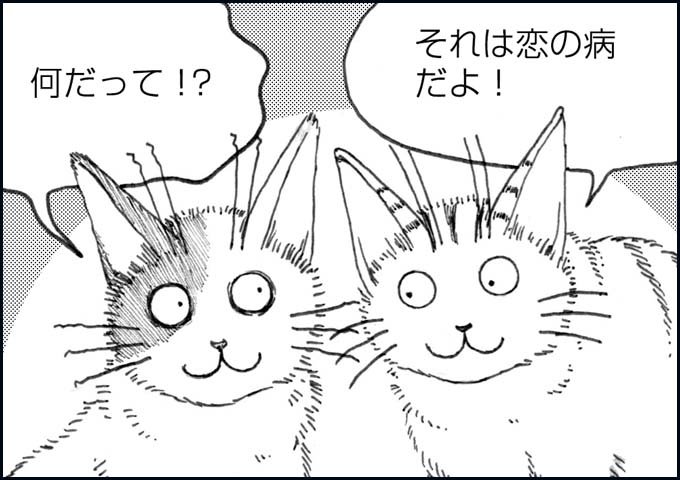 mono_19_05.jpg