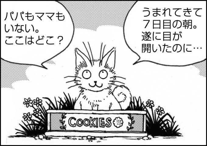 mono_1_01.jpg