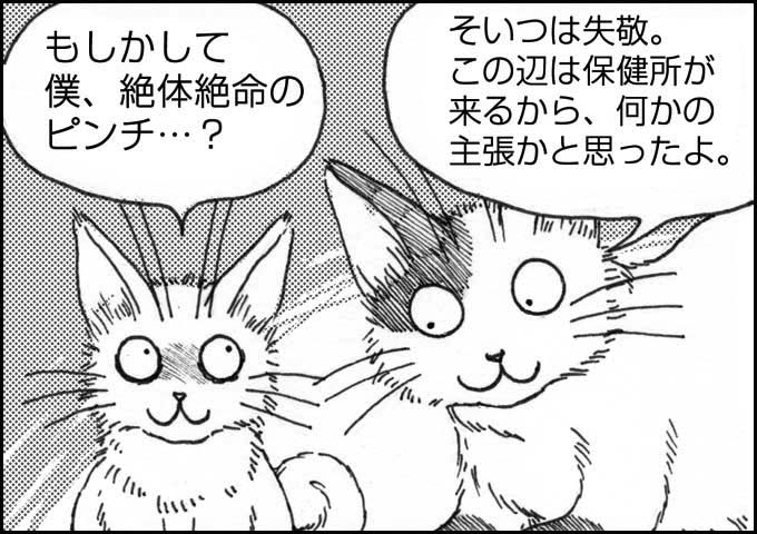 mono_1_04.jpg