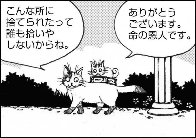 mono_1_05.jpg