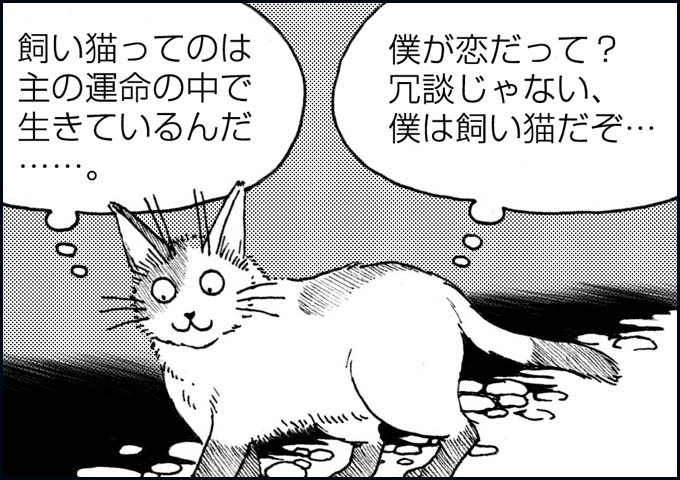 mono_20_01.jpg