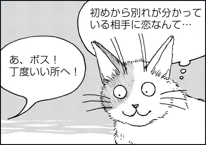 mono_20_02.jpg