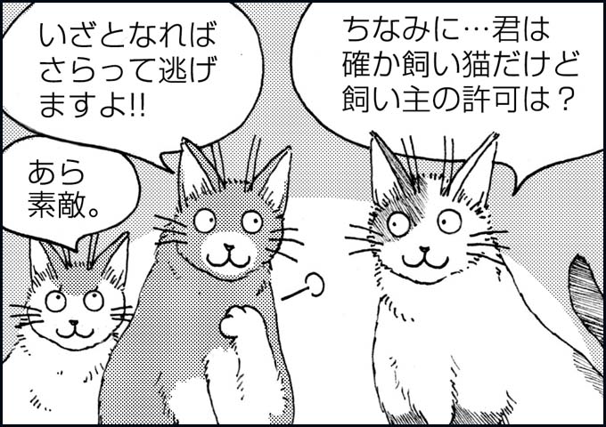 mono_20_05.jpg