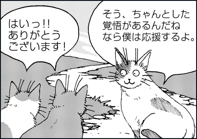 mono_20_06.jpg