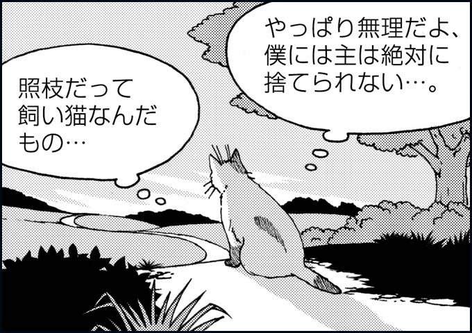 mono_20_08.jpg