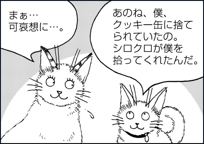 mono_21_03.jpg
