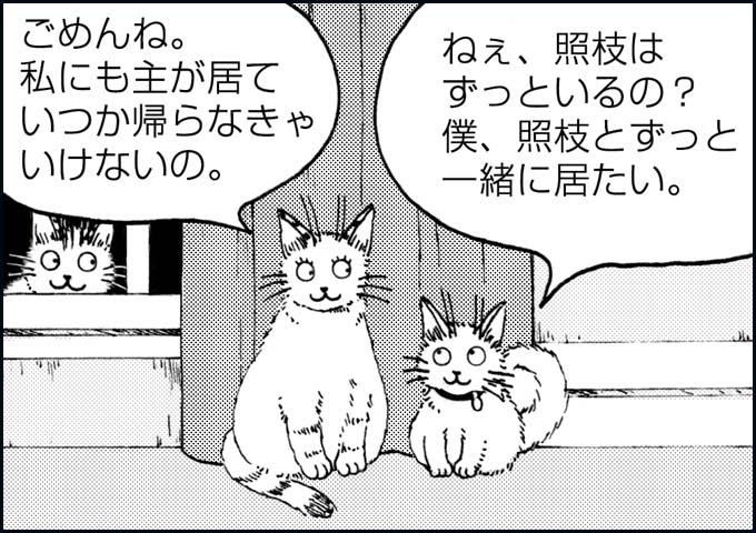 mono_21_05.jpg