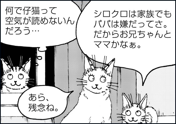 mono_21_08.jpg