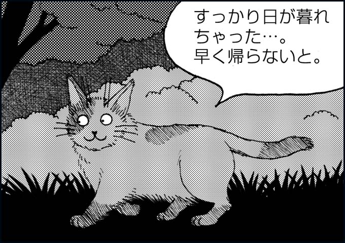 mono_22_01.jpg