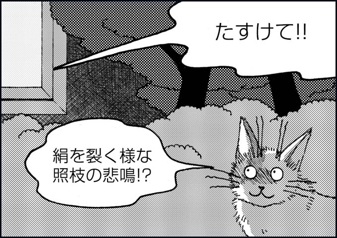 mono_22_02.jpg