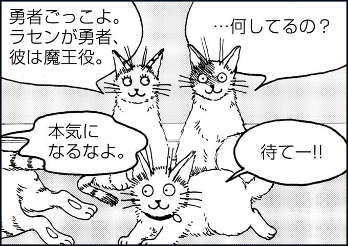 mono_22_05.jpg