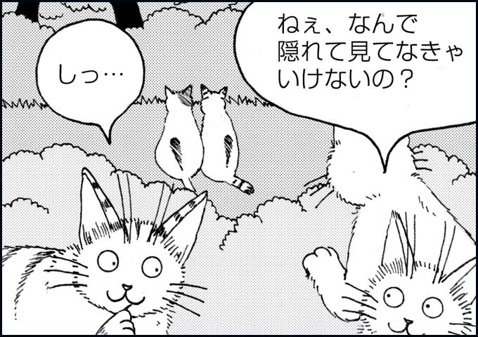 mono_23_02.jpg