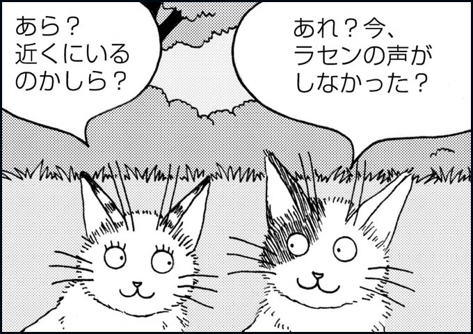 mono_23_03.jpg