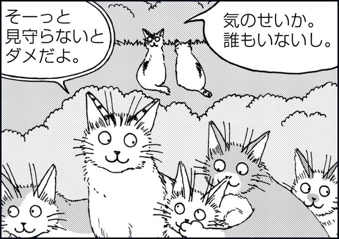 mono_23_04.jpg