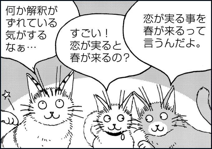 mono_23_06.jpg