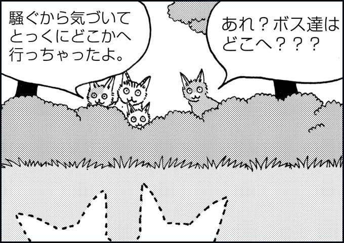 mono_23_08.jpg