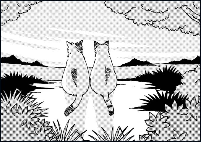 mono_24_01.jpg