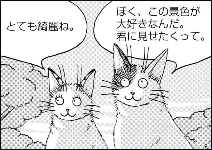 mono_24_02.jpg