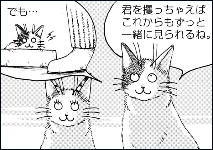 mono_24_03.jpg