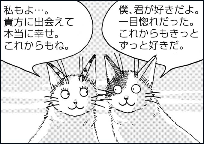 mono_24_06.jpg