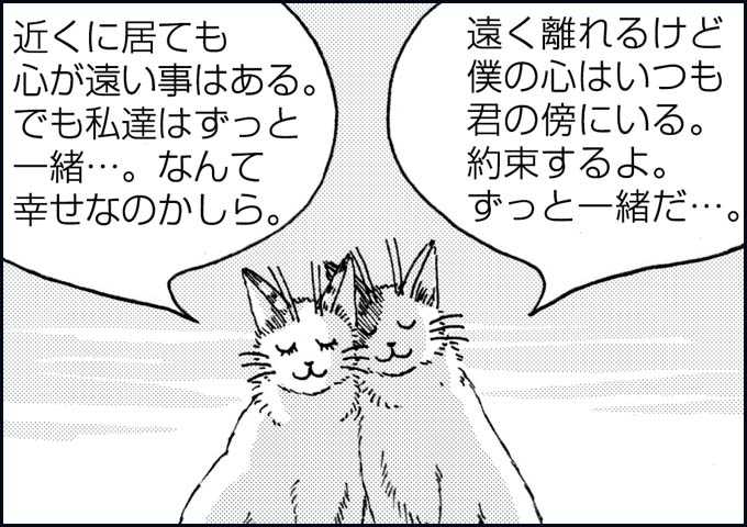 mono_24_07.jpg