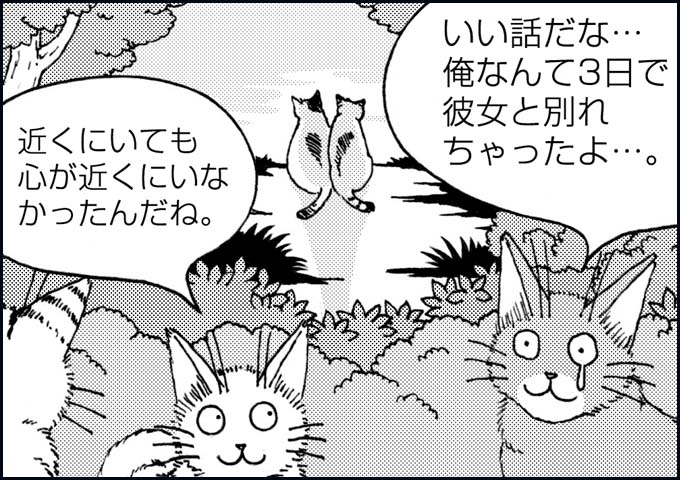 mono_24_08.jpg