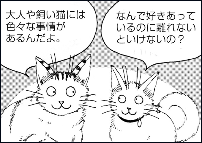 mono_25_01.jpg