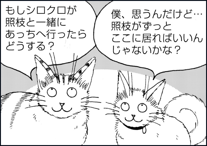 mono_24_02.jpg