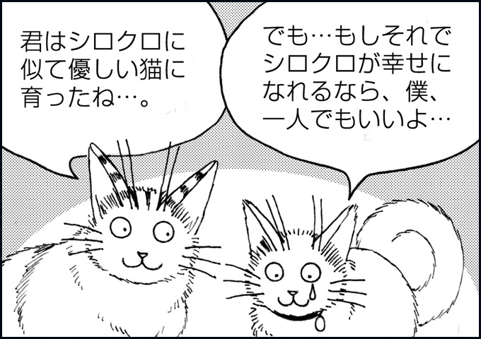 mono_25_04.jpg