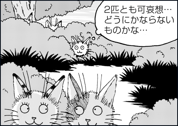 mono_25_05.jpg