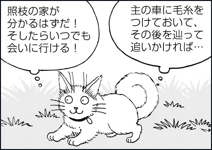 mono_25_08.jpg