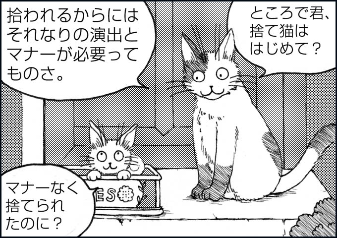 mono_2_01.jpg