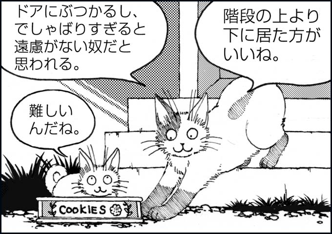 mono_2_02.jpg