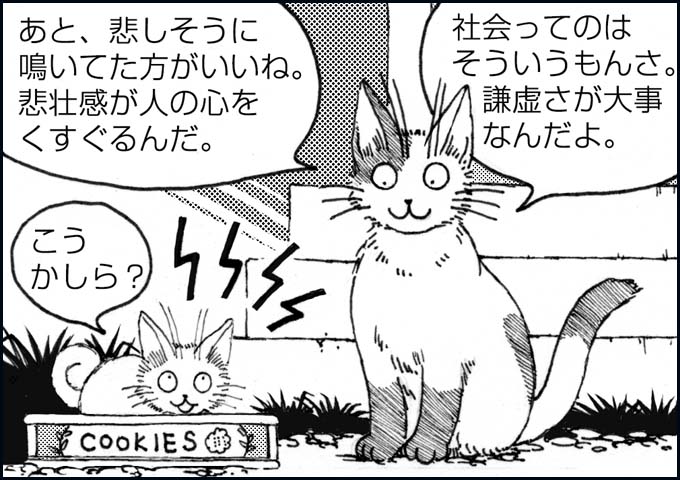 mono_2_03.jpg