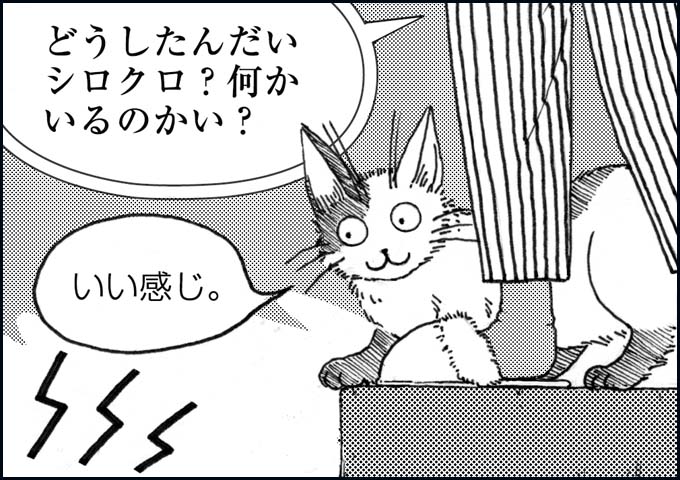 mono_2_05.jpg
